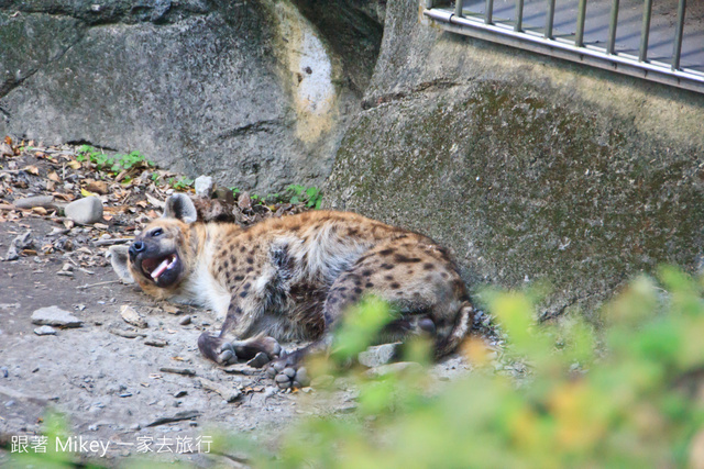 跟著 Mikey 一家去旅行 - 【 台北 】台北市立動物園