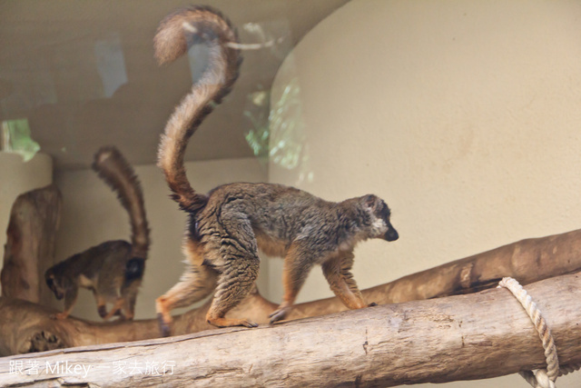 跟著 Mikey 一家去旅行 - 【 台北 】台北市立動物園