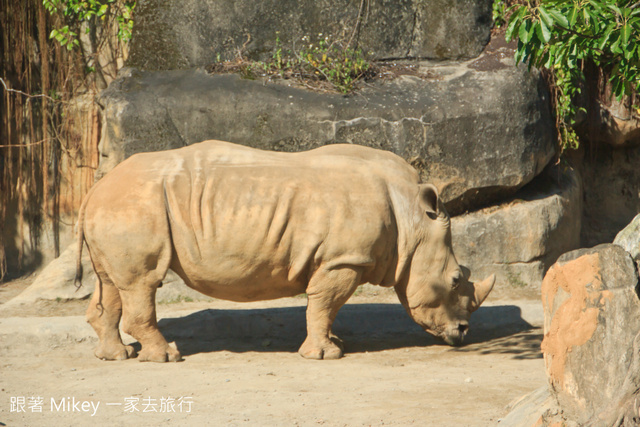 跟著 Mikey 一家去旅行 - 【 台北 】台北市立動物園