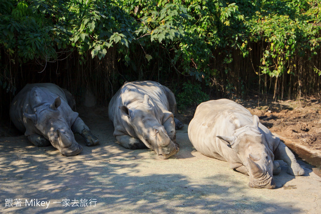 跟著 Mikey 一家去旅行 - 【 台北 】台北市立動物園