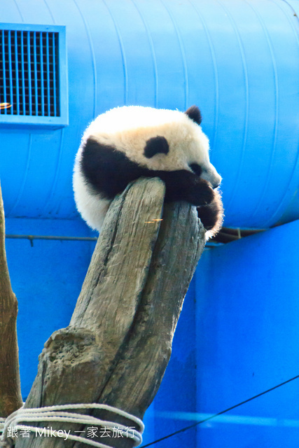 跟著 Mikey 一家去旅行 - 【 台北 】台北市立動物園