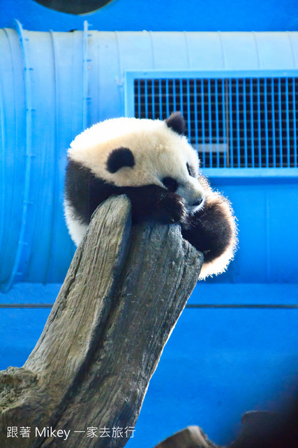 跟著 Mikey 一家去旅行 - 【 台北 】台北市立動物園