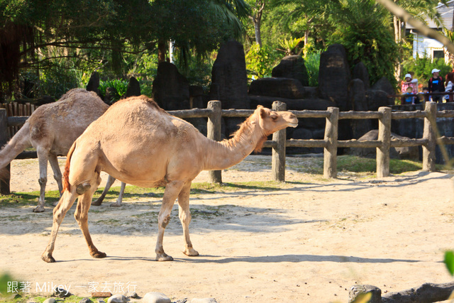 跟著 Mikey 一家去旅行 - 【 台北 】台北市立動物園