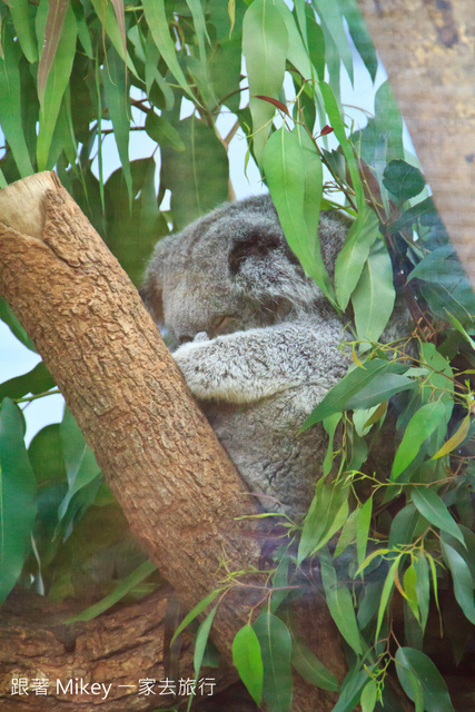 跟著 Mikey 一家去旅行 - 【 台北 】台北市立動物園