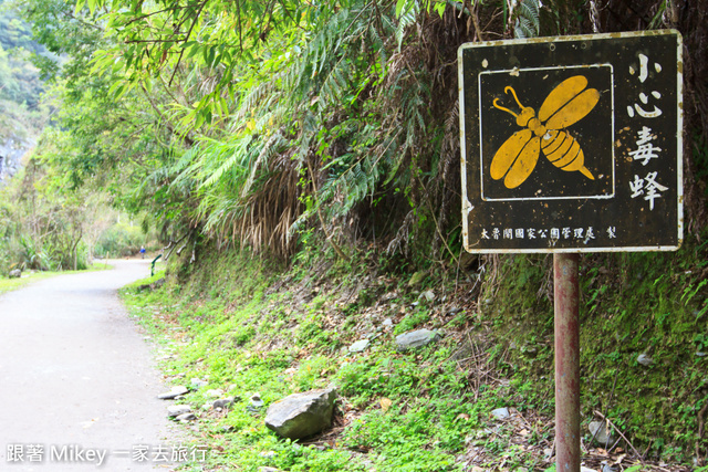 跟著 Mikey 一家去旅行 - 【 秀林 】太魯閣國家公園 - 白楊步道