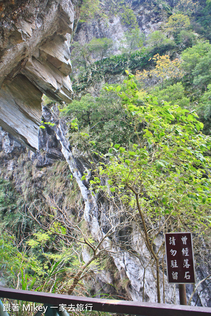 跟著 Mikey 一家去旅行 - 【 秀林 】太魯閣國家公園 - 白楊步道