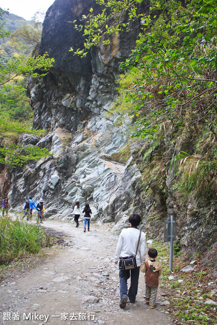 跟著 Mikey 一家去旅行 - 【 秀林 】太魯閣國家公園 - 白楊步道