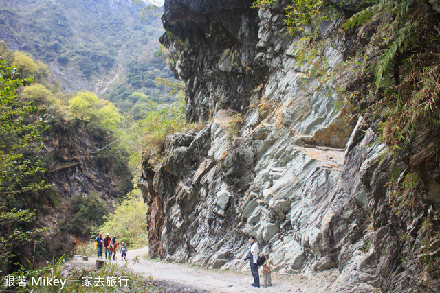 跟著 Mikey 一家去旅行 - 【 秀林 】太魯閣國家公園 - 白楊步道