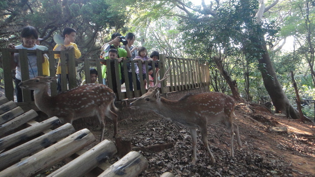 跟著 Mikey 一家去旅行 - 【 新竹 】市立動物園