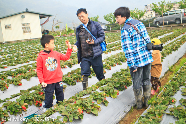 跟著 Mikey 一家去旅行 - 【 大湖 】大湖金榜草莓園