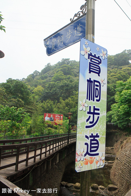 跟著 Mikey 一家去旅行 - 【 土城 】桐花公園 - 花見幸福