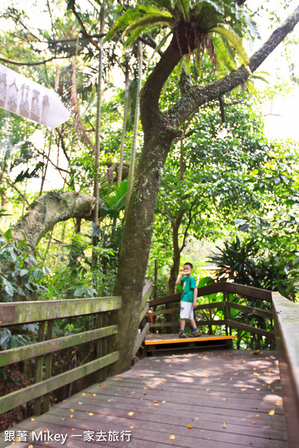 跟著 Mikey 一家去旅行 - 【 土城 】桐花公園 - 花見幸福