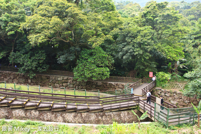 跟著 Mikey 一家去旅行 - 【 土城 】桐花公園 - 花見幸福