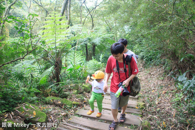 跟著 Mikey 一家去旅行 - 【 土城 】桐花公園 - 花見幸福