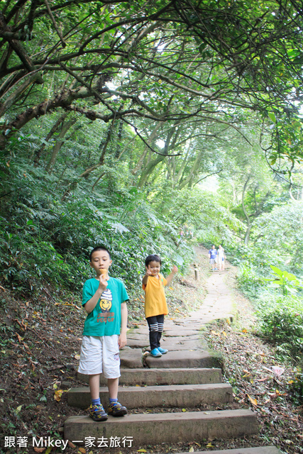 跟著 Mikey 一家去旅行 - 【 土城 】桐花公園 - 花見幸福