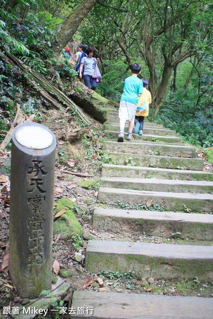 跟著 Mikey 一家去旅行 - 【 土城 】桐花公園 - 花見幸福