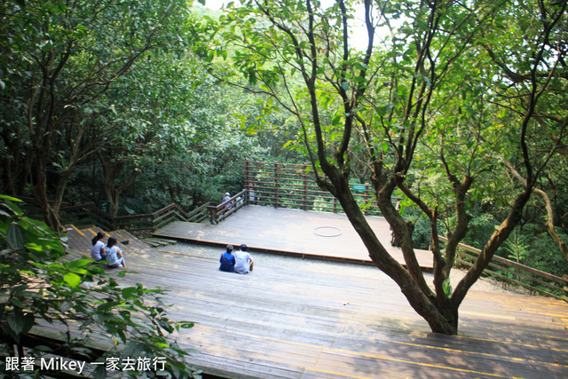 跟著 Mikey 一家去旅行 - 【 土城 】桐花公園 - 花見幸福