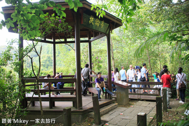 跟著 Mikey 一家去旅行 - 【 土城 】桐花公園 - 花見幸福