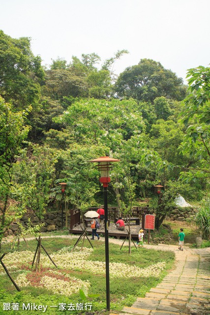 跟著 Mikey 一家去旅行 - 【 土城 】桐花公園 - 花見幸福