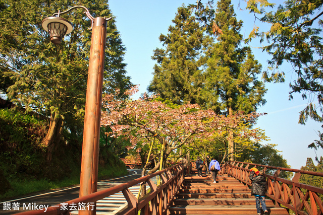 跟著 Mikey 一家去旅行 - 【 嘉義 】阿里山賓館 - 櫻王區篇