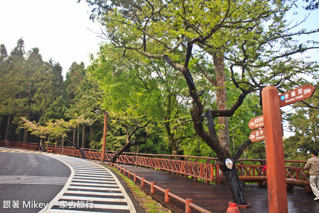 跟著 Mikey 一家去旅行 - 【 嘉義 】阿里山賓館 - 櫻王區篇