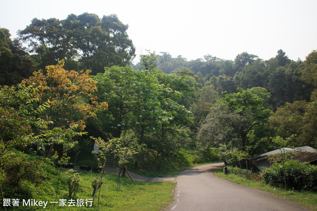 跟著 Mikey 一家去旅行 - 【 東勢 】東勢林場 Day 2