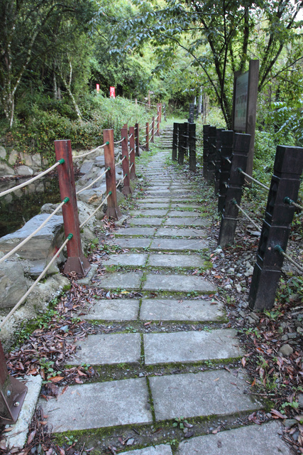 跟著 Mikey 一家去旅行 - 【 和平 】梨山賓館