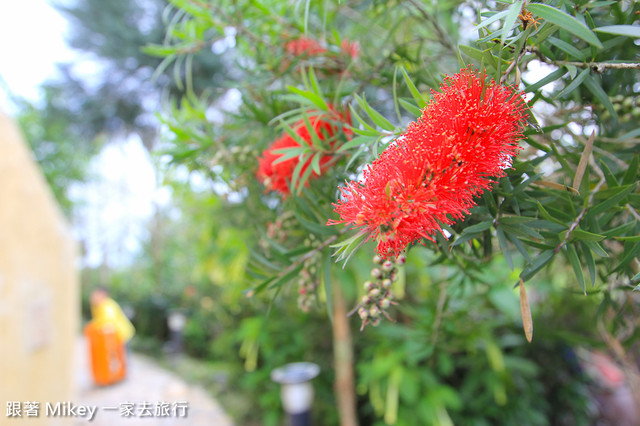 跟著 Mikey 一家去旅行 - 【 冬山 】芯園 - 我的夢中城堡 - 室外環境篇