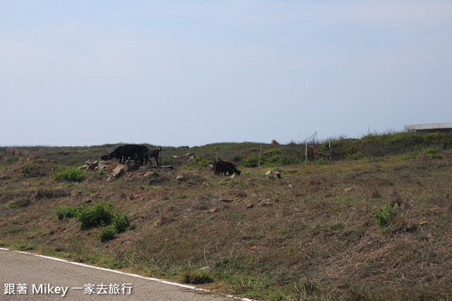 跟著 Mikey 一家去旅行 - 【 七美 】愛在七美