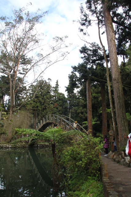 跟著 Mikey 一家去旅行 - 【 南投 】溪頭森林遊樂區