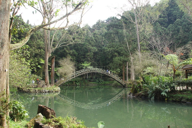 跟著 Mikey 一家去旅行 - 【 南投 】溪頭森林遊樂區