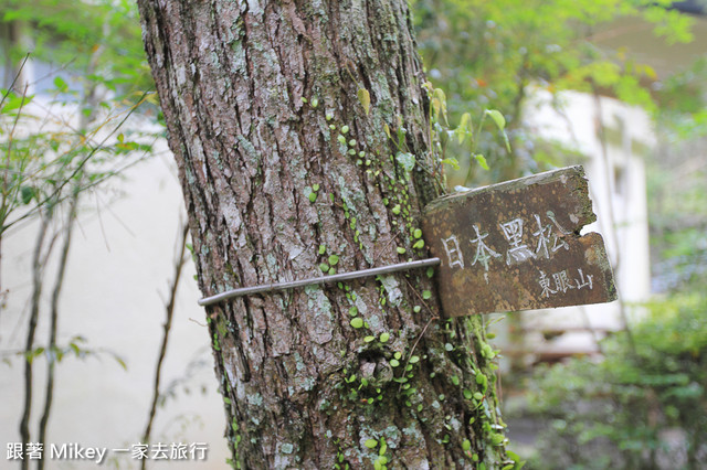 跟著 Mikey 一家去旅行 - 【 復興 】東眼山森林遊樂區