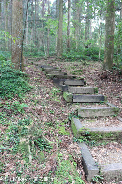 跟著 Mikey 一家去旅行 - 【 復興 】東眼山森林遊樂區