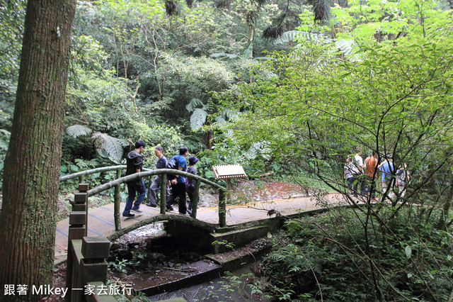 跟著 Mikey 一家去旅行 - 【 復興 】東眼山森林遊樂區