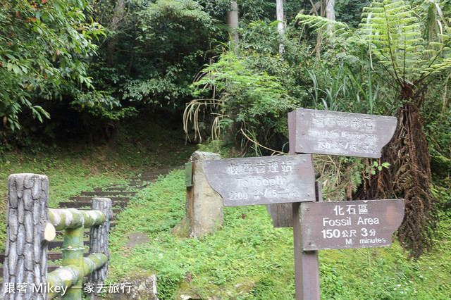 跟著 Mikey 一家去旅行 - 【 復興 】東眼山森林遊樂區