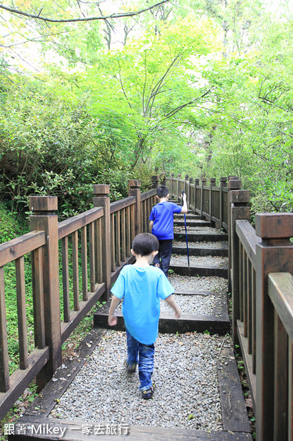 跟著 Mikey 一家去旅行 - 【 復興 】東眼山森林遊樂區