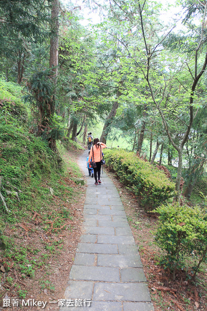 跟著 Mikey 一家去旅行 - 【 復興 】東眼山森林遊樂區