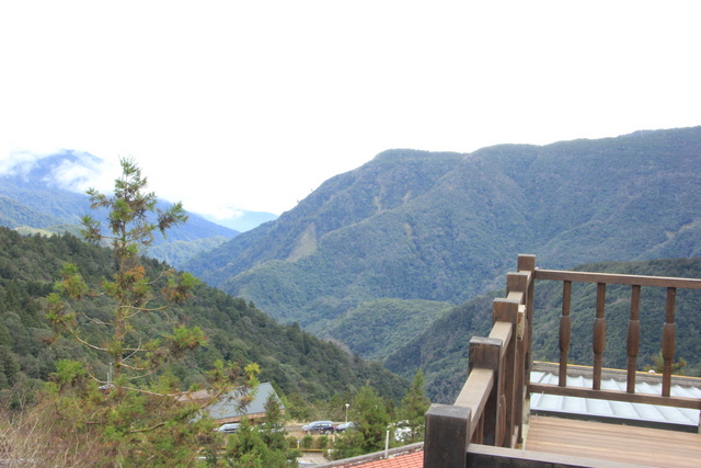 跟著 Mikey 一家去旅行 - 【 宜蘭 】太平山森林遊樂區