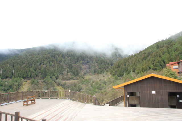 跟著 Mikey 一家去旅行 - 【 宜蘭 】太平山森林遊樂區