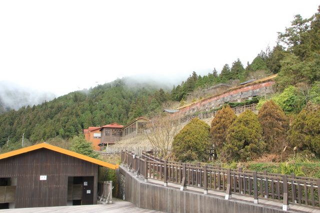 跟著 Mikey 一家去旅行 - 【 宜蘭 】太平山森林遊樂區