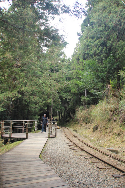 跟著 Mikey 一家去旅行 - 【 宜蘭 】太平山森林遊樂區