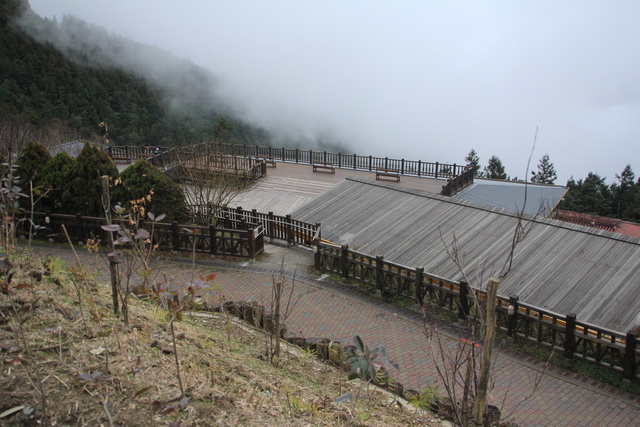 跟著 Mikey 一家去旅行 - 【 宜蘭 】太平山森林遊樂區