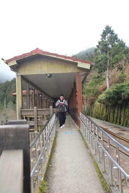 跟著 Mikey 一家去旅行 - 【 宜蘭 】太平山森林遊樂區