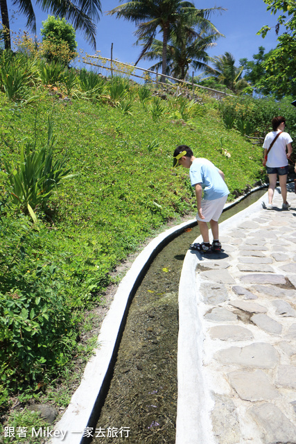 跟著 Mikey 一家去旅行 - 【 東河 】水往上流