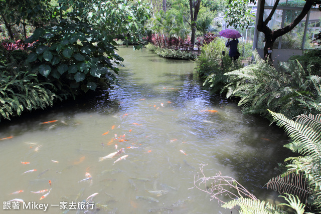 跟著 Mikey 一家去旅行 - 【 台東 】日暉國際渡假村 - 日暉生態公園