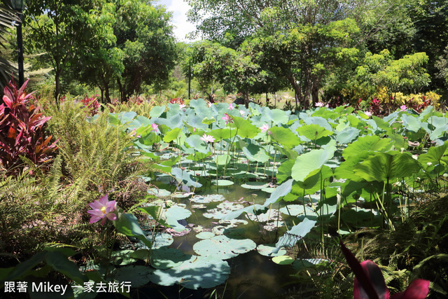 跟著 Mikey 一家去旅行 - 【 台東 】日暉國際渡假村 - 日暉生態公園