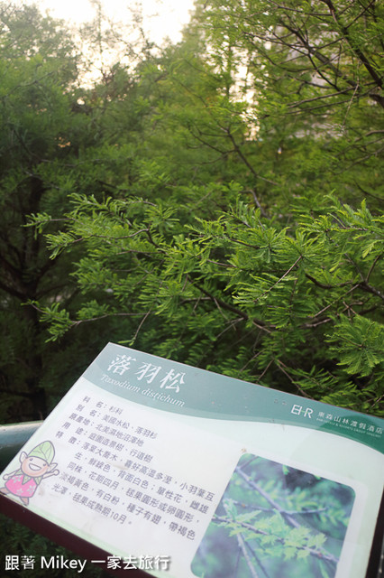 跟著 Mikey 一家去旅行 - 【 楊梅 】東森山林渡假酒店 - 山林篇