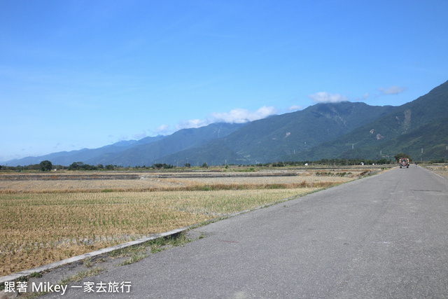 跟著 Mikey 一家去旅行 - 【 池上 】伯朗大道 - 金城武樹