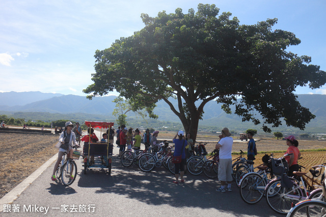 跟著 Mikey 一家去旅行 - 【 池上 】伯朗大道 - 金城武樹