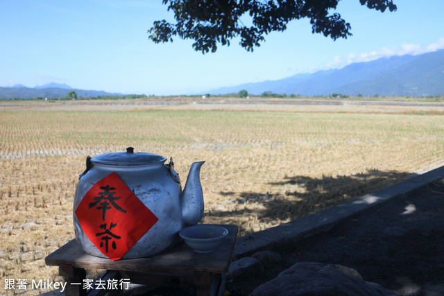 跟著 Mikey 一家去旅行 - 【 池上 】伯朗大道 - 金城武樹